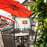 Alte Aue Konukevi 3*