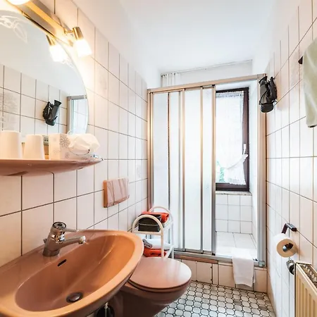 Alte Aue Altenau (Lower-Saxony)