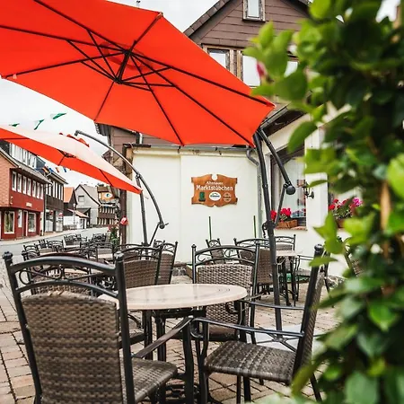 Alte Aue Guest house 3*