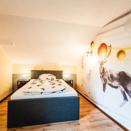 Alte Aue Affittacamere