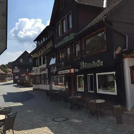 Alte Aue