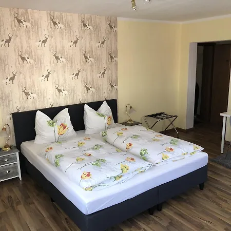 Alte Aue Altenau (Lower-Saxony)