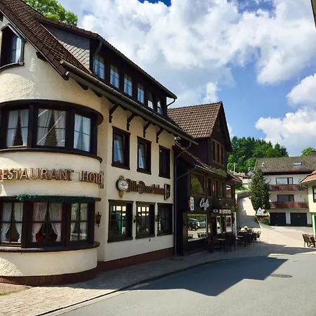 Alte Aue