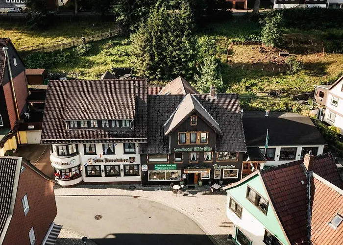 Гостевой дом Alte Aue