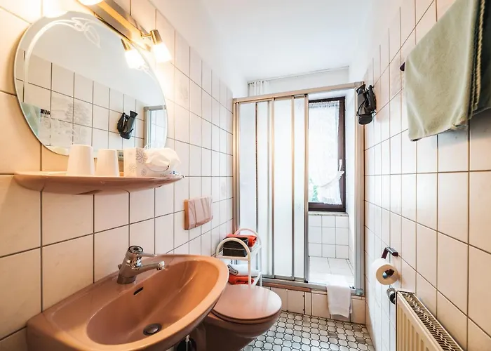 Alte Aue Altenau (Lower-Saxony)