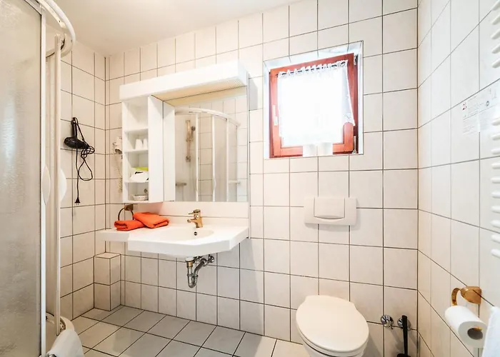 Alte Aue Гостевой дом 3*