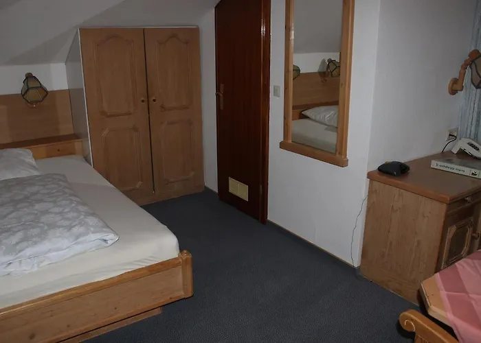 Alte Aue Гостевой дом 3*